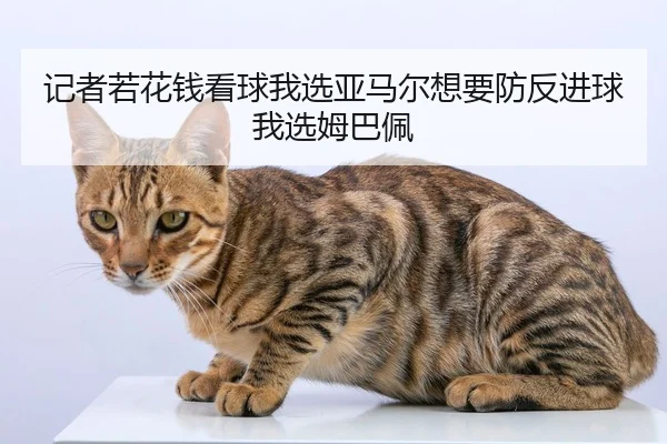 记者若花钱看球我选亚马尔想要防反进球我选姆巴佩